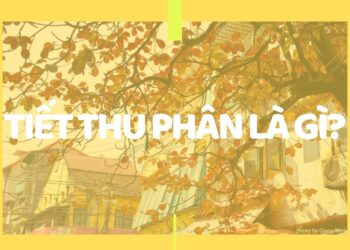 Tiết thu phân là gì?