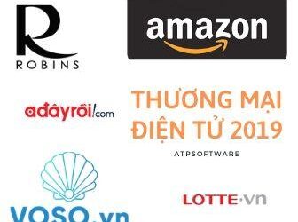 Tốc độ tăng trưởng của thị trường thương mại điện tử năm 2019