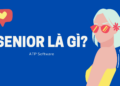 Senior là gì? Các cấp bậc tương tự như Senior 11 Senior là gì?