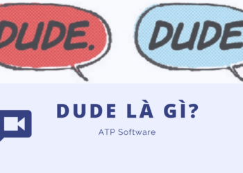 Sự thú vị của thuật ngữ dude