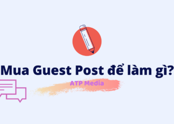 Guest Post ATP Media