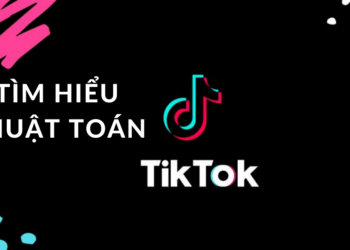 Thuật toán của Tiktok – Công thức lên xu hướng của mọi Tiktoker