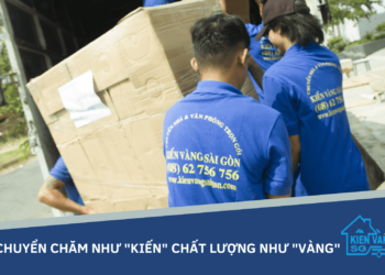 Vận chuyển chăm như "Kiến" chất lượng như "Vàng”