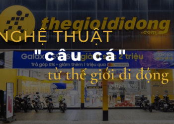 học kinh doanh online từ thế giới di động