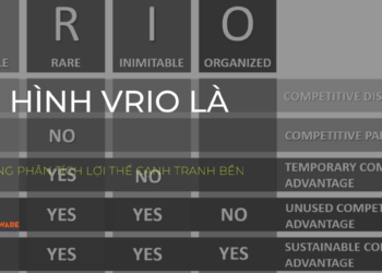 mô hình vrio