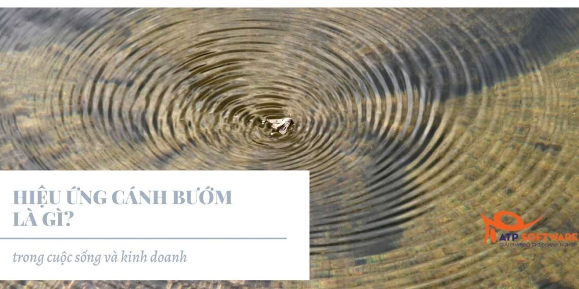 hiệu ứng cánh bướm là gì