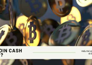 Bitcoin Cash là gì