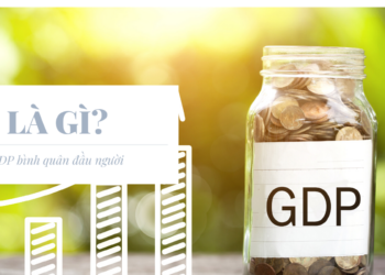 gdp là gì gdp đầu người