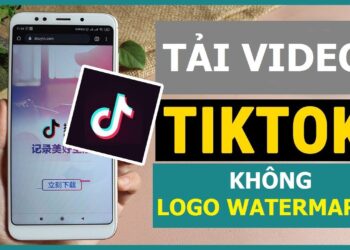 Công cụ tải Video TikTok không có logo