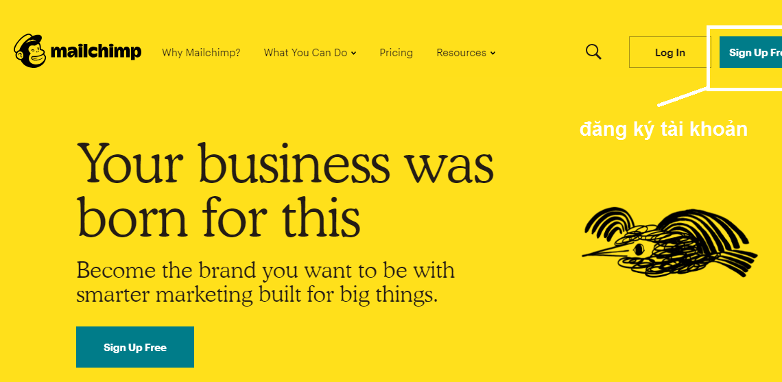 Hướng dẫn mailchimp cơ bản - Gửi mail hàng loạt Update 2022 22 Hướng dẫn mailchimp sử dụng căn bản