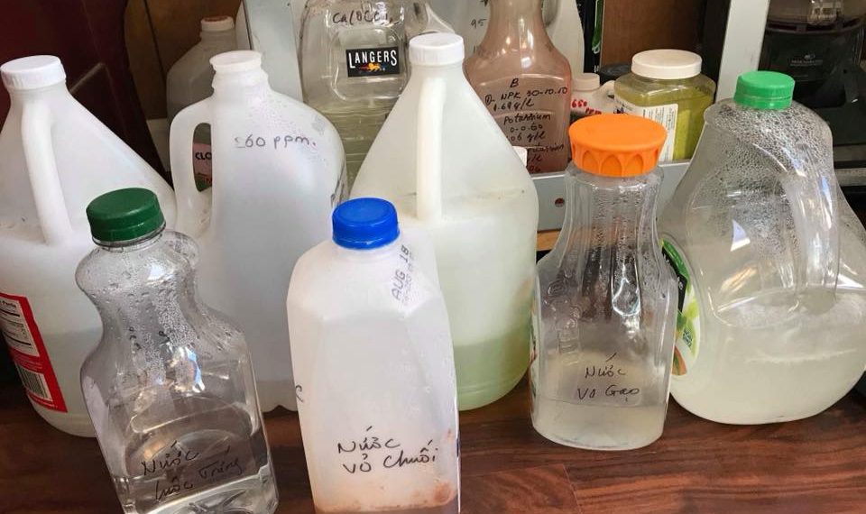 GE là gì? Công dụng, cơ chế và cách làm GE bón cho Lan đơn giản 4 ge-la-gi