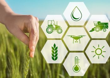 Ngành nông nghiệp cần thực hiện những hoạt động gì để chuyển đổi số