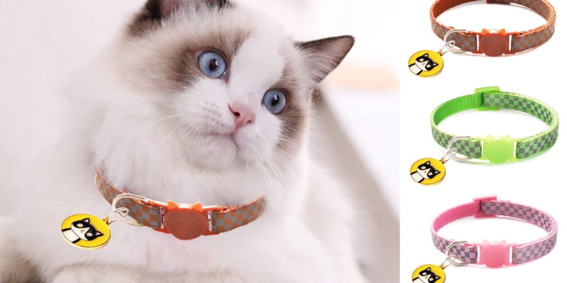 5 Shop bán đồ thú cưng kèm khuyến mãi cực lớn trên Shopee 6 5 Shop bán đồ thú cưng kèm khuyến mãi cực lớn trên Shopee