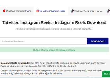 tải video instagram reels