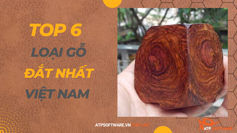 Top 6 loại gỗ đắt nhất Việt Nam
