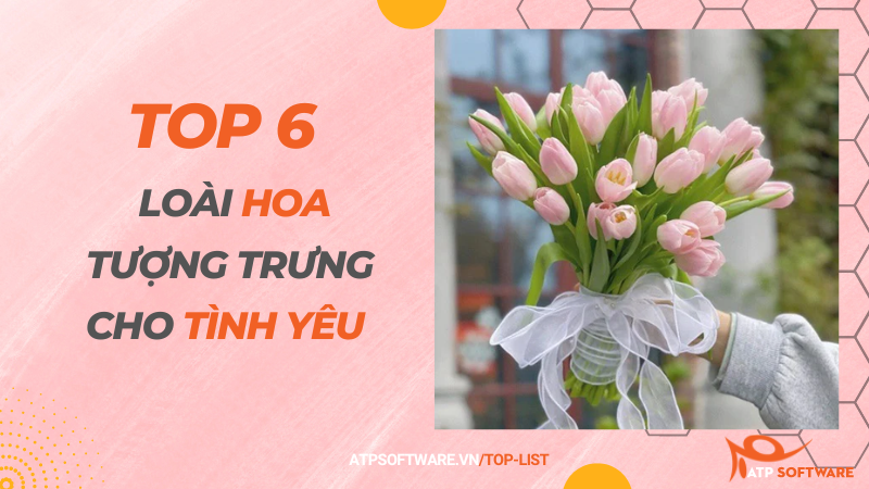 Top 6 loài hoa tượng trưng cho tình yêu