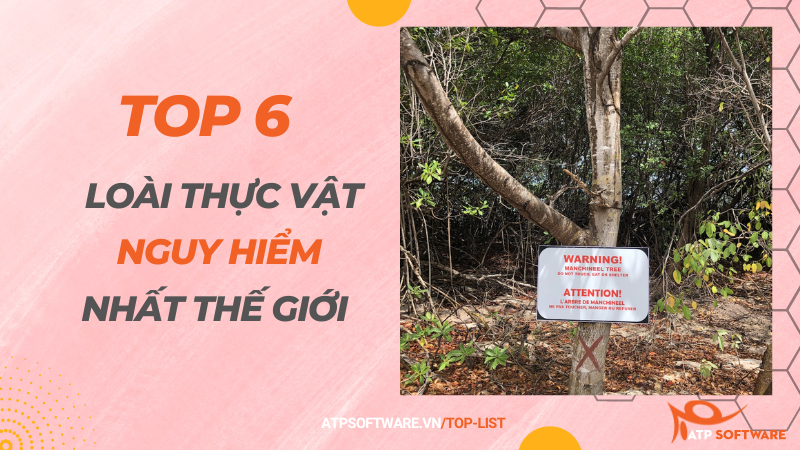 Top 6 loài thực vật nguy hiểm nhất thế giới