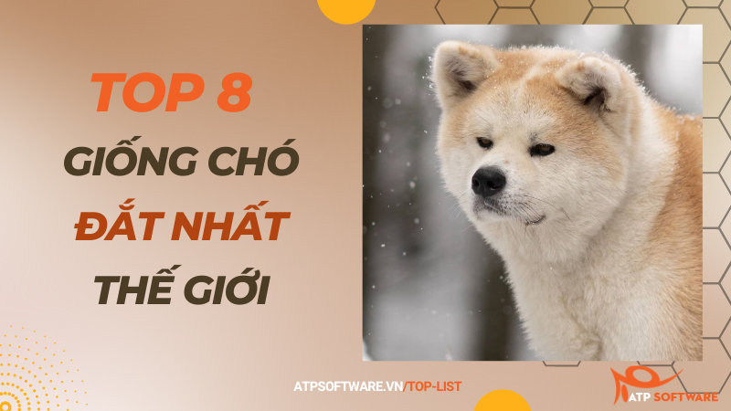 Top 8 giống chó đắt nhất thế giới