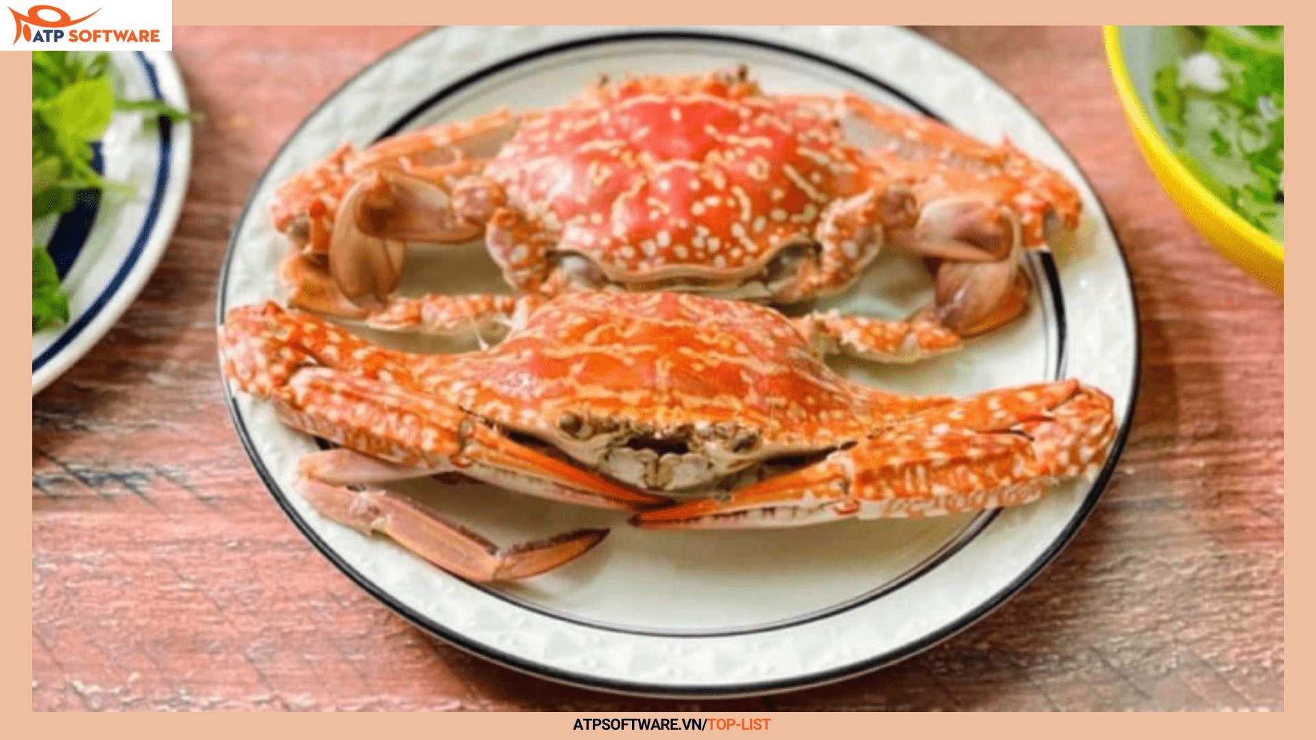 món ăn đặc sản biển nên thưởng thức