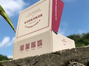 Hộp đựng giày, thời trang