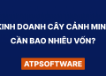 Kinh Doanh Cây Cảnh Mini Cần Bao Nhiêu Vốn: Hướng Dẫn Đầu Tư Chi Tiết 2025 10 Kinh Doanh Cây Cảnh Mini Cần Bao Nhiêu Vốn: Hướng Dẫn Đầu Tư Chi Tiết 2025