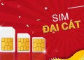 Sim Đại Cát Là Gì? Các Loại Sim Số Đẹp Hiện Có Trên Thị Trường: Phong Thủy, Giá Trị Và Uy Tín 6 Sim Đại Cát Là Gì? Các Loại Sim Số Đẹp Hiện Có Trên Thị Trường: Phong Thủy, Giá Trị Và Uy Tín
