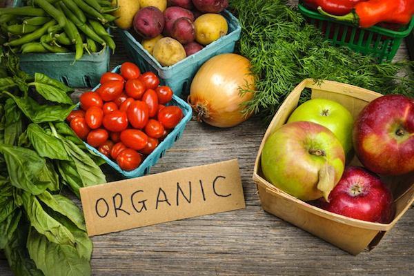 kinh doanh thuc pham sach organic food