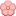 Cherry blossom! Cherry Blossom