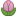 Tulip Tulip Emoticon
