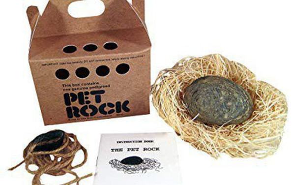 thú cưng Pet Rock - 10 ý tưởng kinh doanh độc đáo kiếm hàng triệu đô trên thế giới