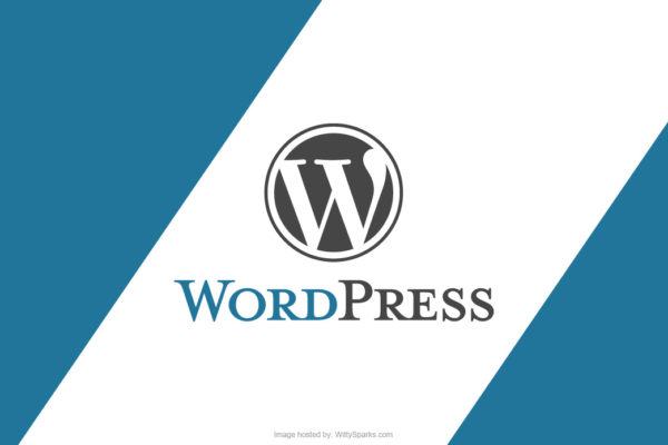 wordpress plugins themes cms