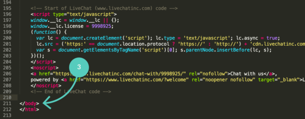 Paste LiveChat code snippet before the body tag