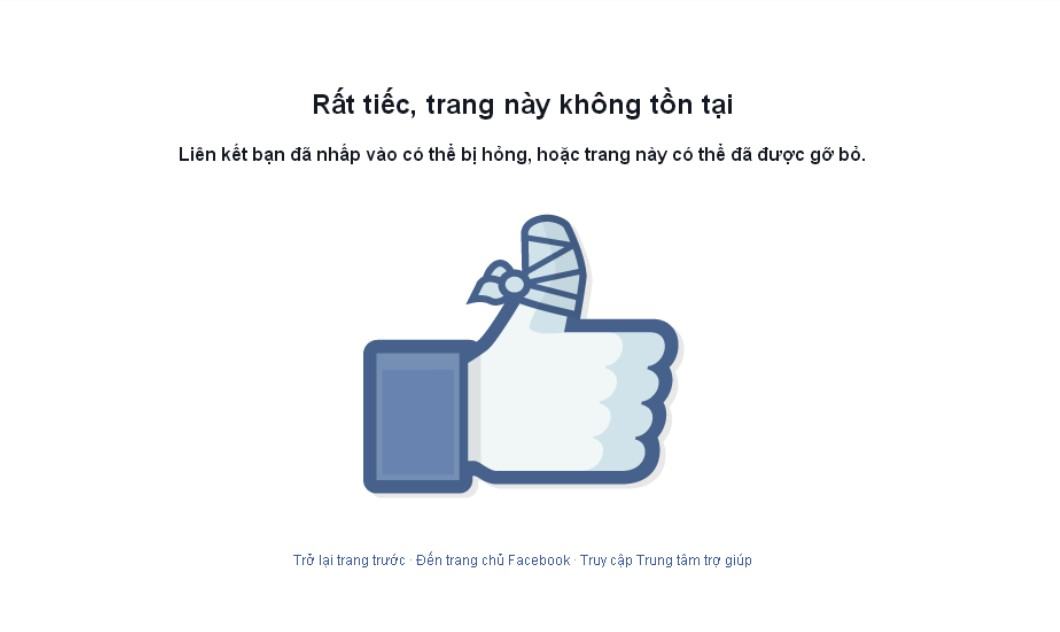 report fb thanh cong